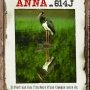 Exposition Cigogne noire "Wanted Anna 614 J" (Parc naturel régional (...)